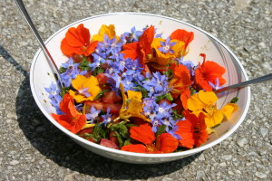 Salat mit Kapuzinerkresse und Borretsch